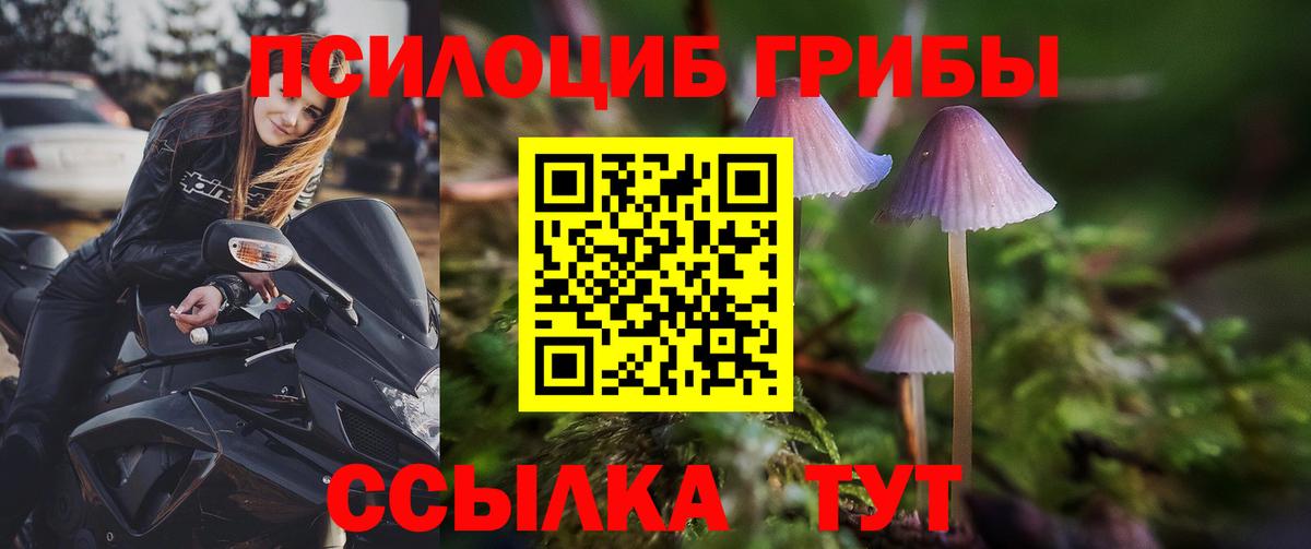 Галлюциногенные грибы мухоморы  Вход с VPN  Сибай  Галлюциногенные грибы мухоморы 